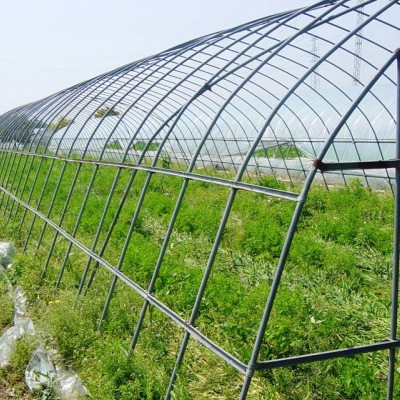 草莓种植棚温室大棚|连栋大棚|大棚骨架|