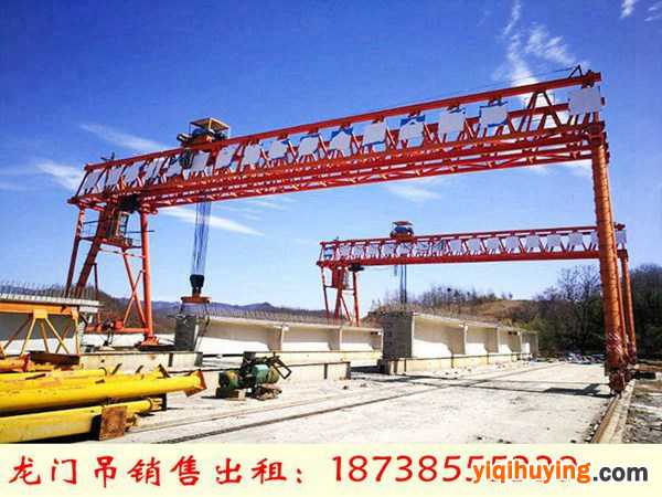 广西贵港集装箱起重机厂家70吨120吨双梁龙门吊