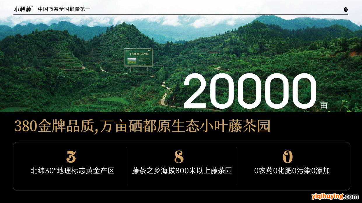 图片10