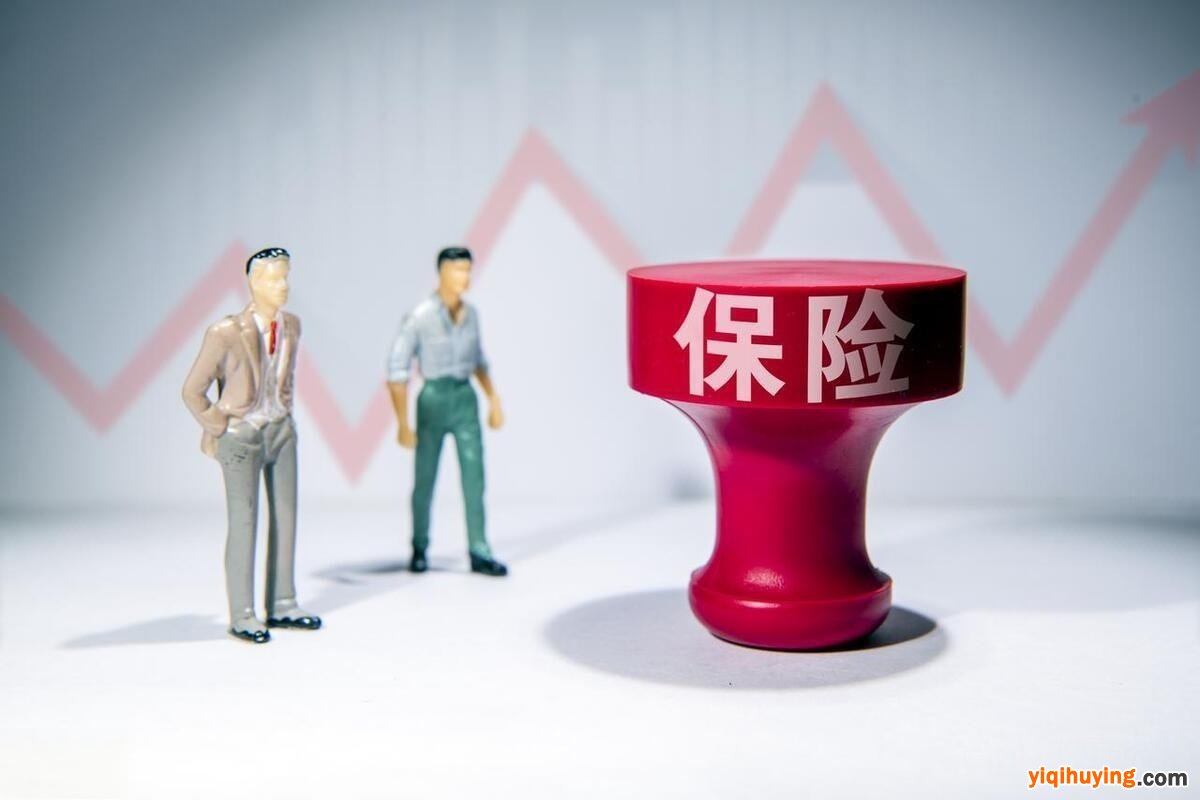 图片5