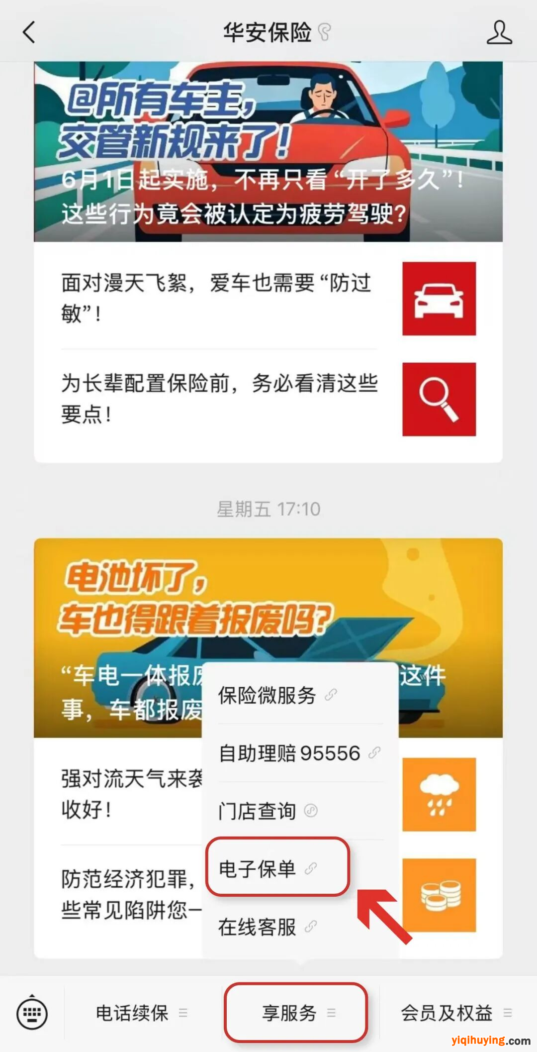 图片3